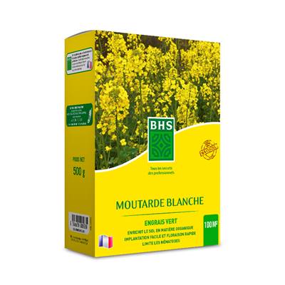 MOUTARDE BLANCHE - 500 G